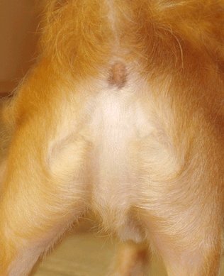 I found Jesus - he was in the starfish
